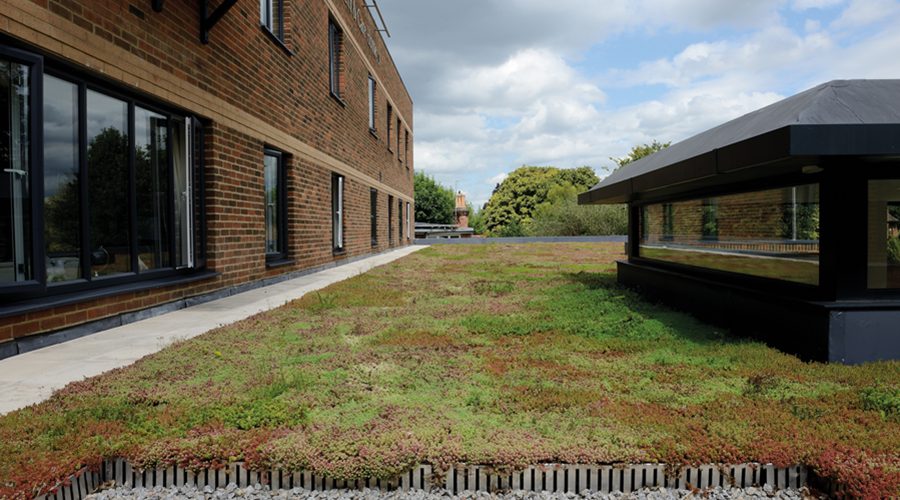 Green Roofs: Fire Performance, Maintenance and Substrate Science