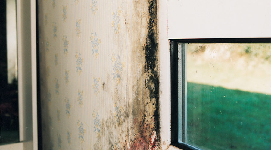 Vent-Axia Welcomes Housing Ombudsman’s Report on Damp and Mould