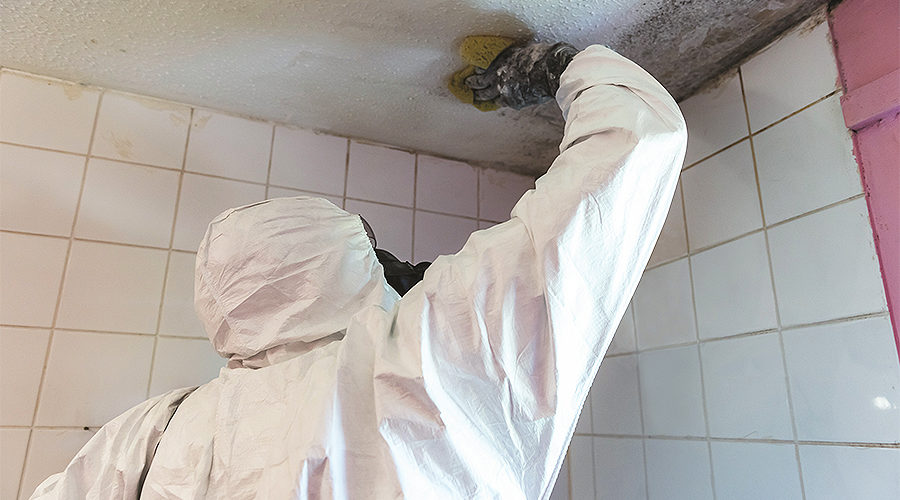 Airtech Offers Social Housing Landlords Expert Advice and Help to Tackle Mould